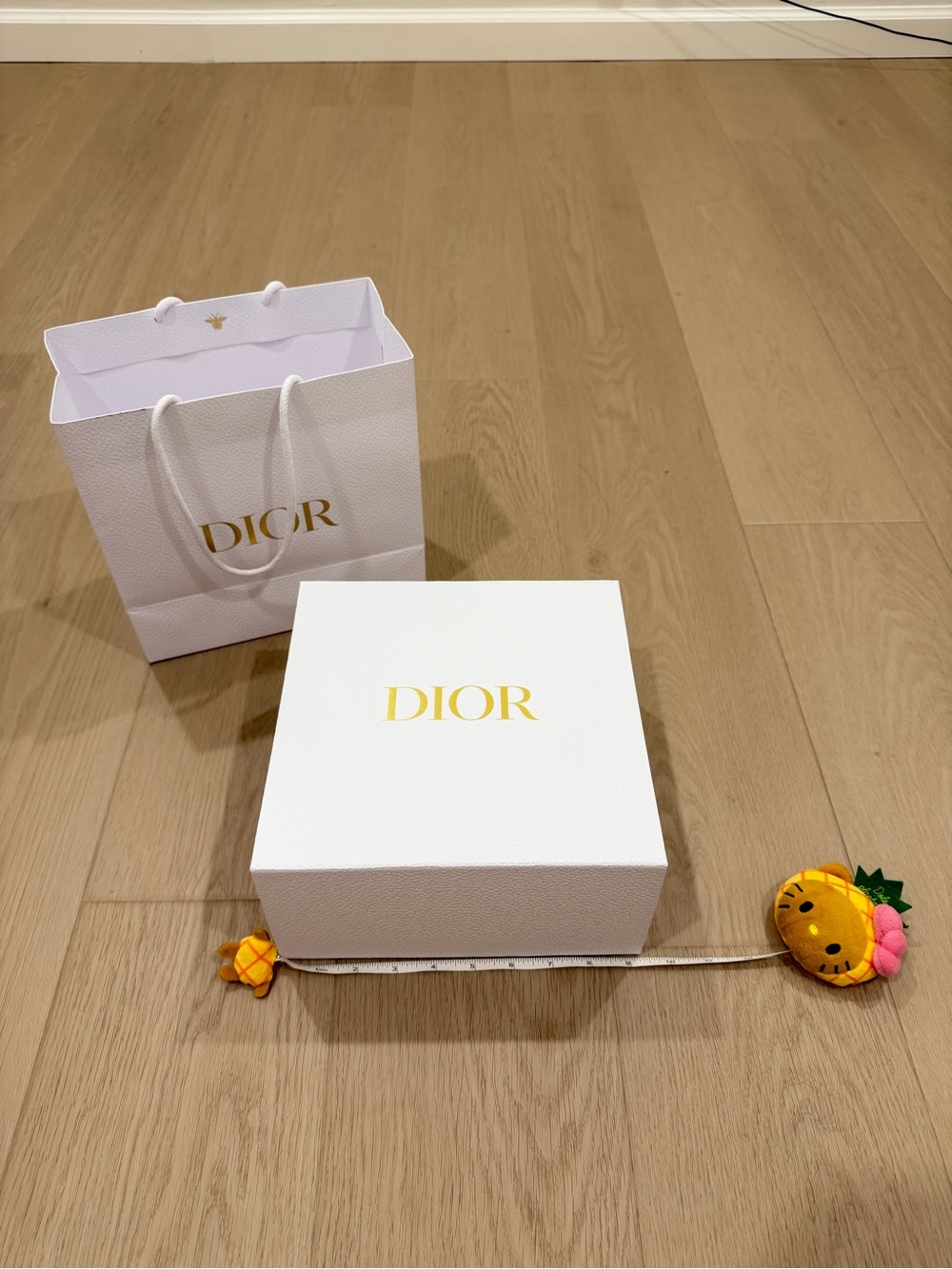 Authentic EMPTY Dior Gift Bag and Box with Original Tissue Paper